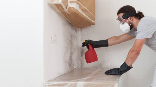 Professional Mold Testing technician working in Melrose Park, NY
